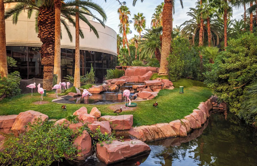 Flamingo Las Vegas Hotel & Casino-1