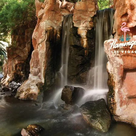 Flamingo Las Vegas Hotel & Casino-2
