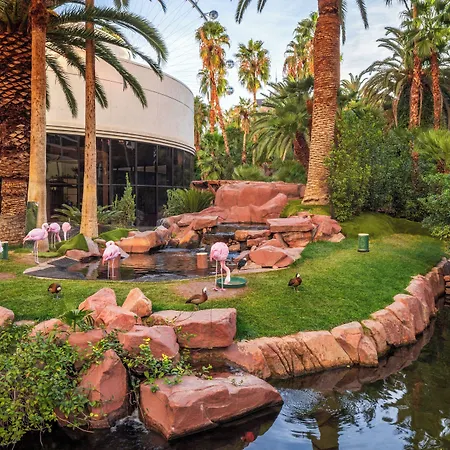 Flamingo Las Vegas Hotel & Casino-3